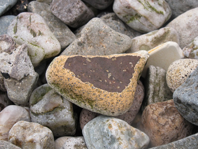 stone
